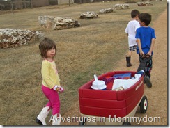 Science Sunday: Bird Migration activity